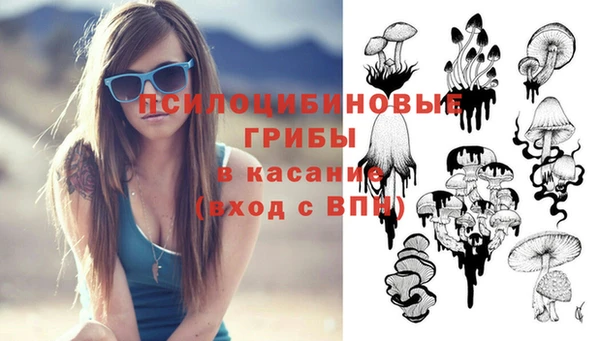 спайс Беломорск